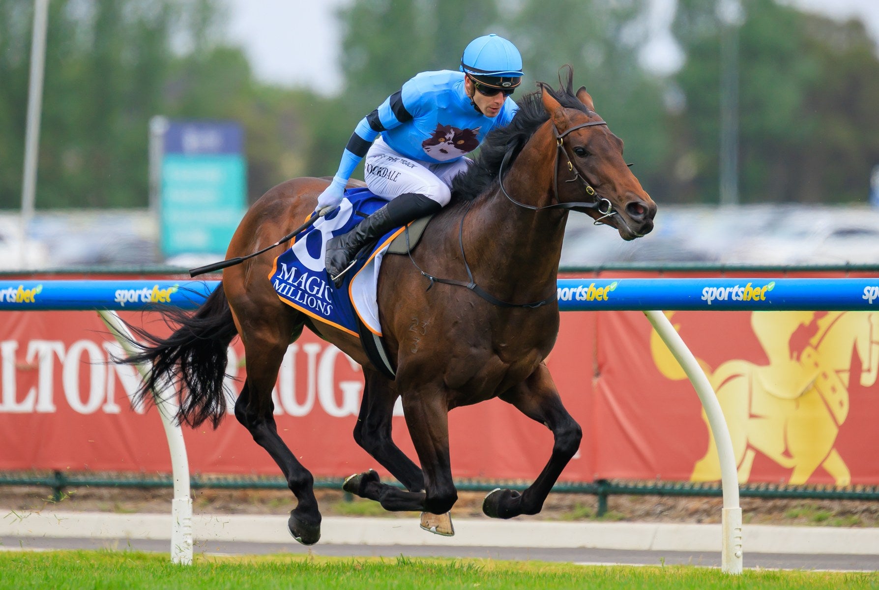 UNIT FIVE racing in Coco's Crew silks